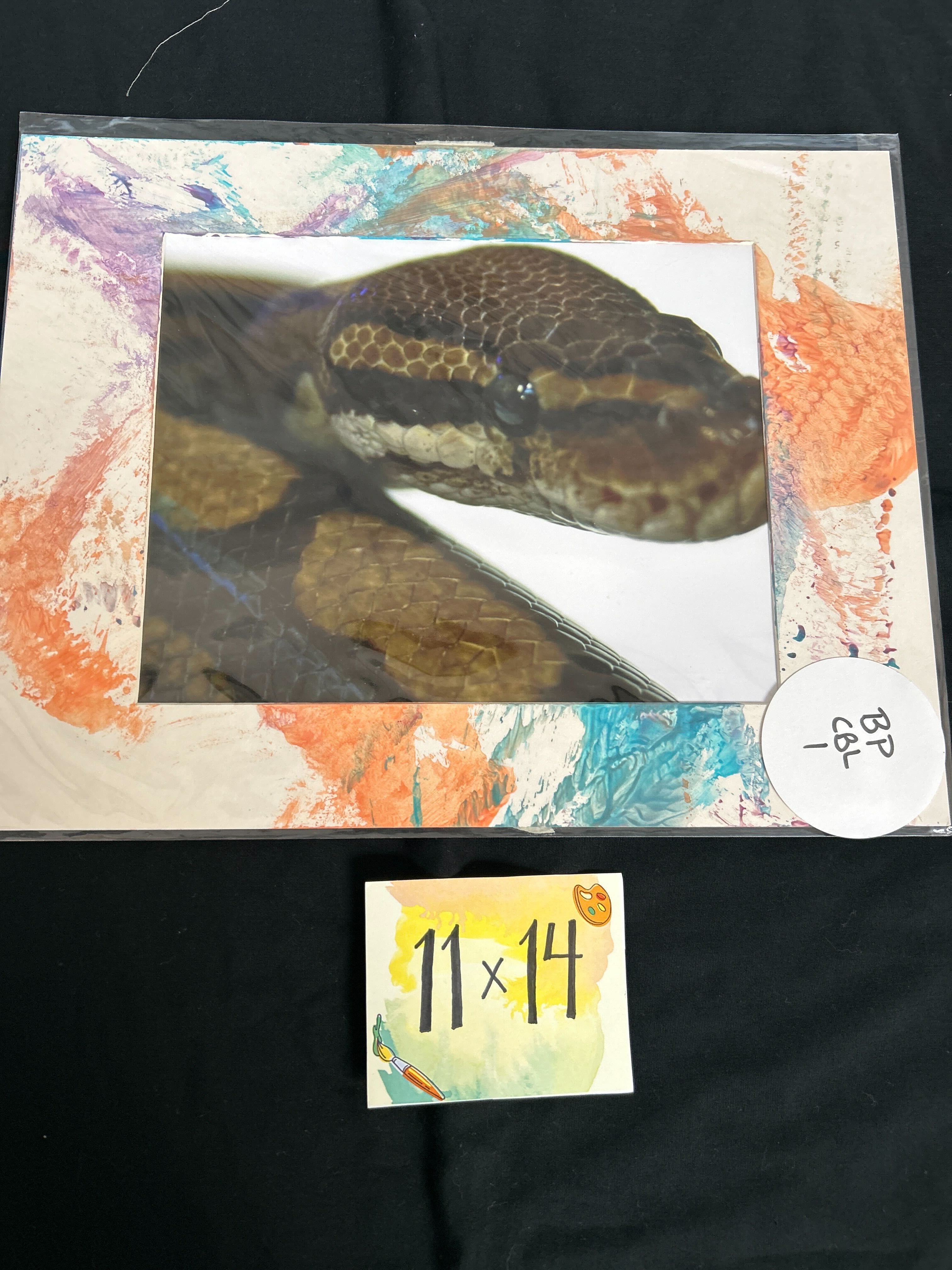 Ball Python Art – Erie Zoo Store